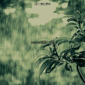 抚慰的风暴回忆