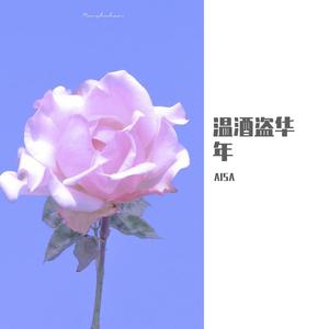 温酒盗华年（翻自 江苹果）