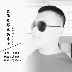 爱你是那么的辛苦 (飞龙 remix)