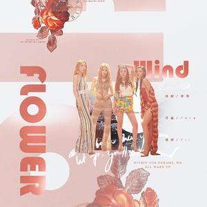 Wind Flower（翻自 妈妈木）