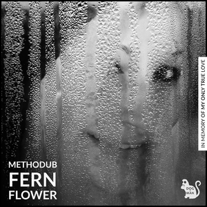 Fern Flower (Original Mix)