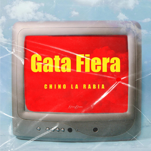 Gata Fiera (feat. Nueva Division)