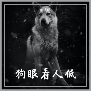 狗眼看人低