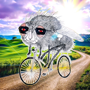 Odore del buongiorno