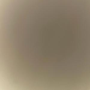 Narcissist (feat. Mason) (2025)