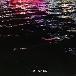 我給你一個久久望著孤月人的悲哀