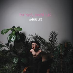 I Used To Be A Plastic Bottle