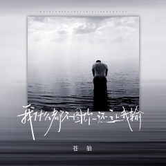 我什么都不图你还让我输 (DJ豪大大版)