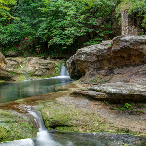 佛佛佛无奈的不舍