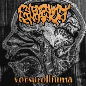 Vorsucolliuma