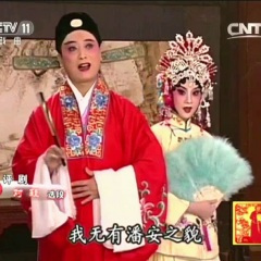 花为媒选段报花名 (评剧)(Live)