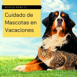 Perros y Gatos Inquietos