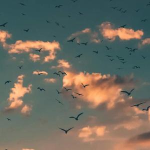 暴雨（Prod.by RedRumMusic）