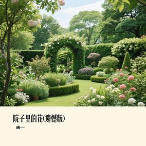 院子里的花