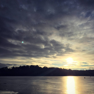 誓约胜利（曲：a shadow's love song）