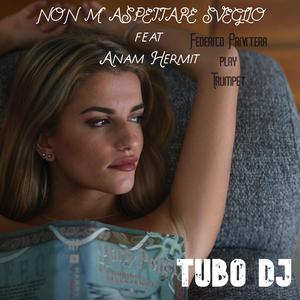 Non m' aspettare sveglio