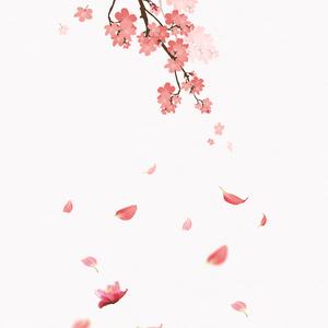 【繁花】古筝（纯筝）（翻自 董贞）