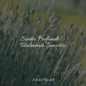 Llamado Desde Dentro