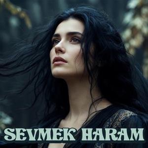 Sevmek Haram