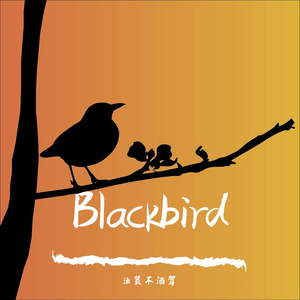 Blackbird