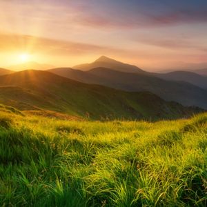 山河逐光