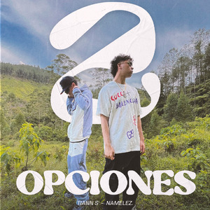 2 OPCIONES