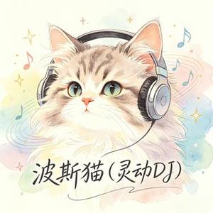 波斯猫 (灵动DJ)