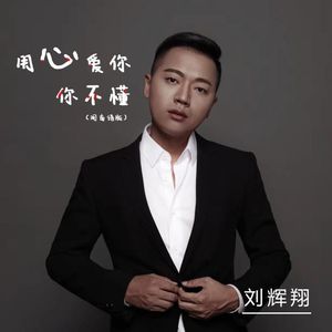 用心爱你你不懂 (闽南语版)
