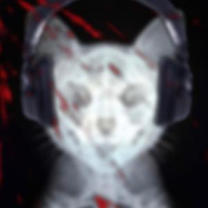 KITTY