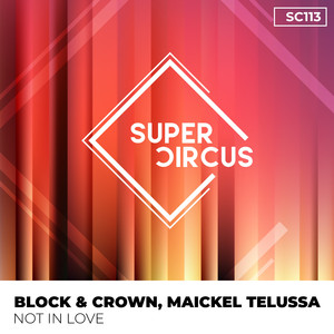 Not in Love (Original Mix)