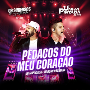 Pedaços do Meu Coração