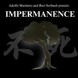 Impermanence