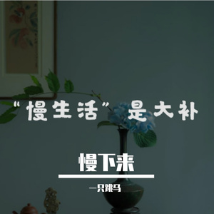 不完美终章-伴奏