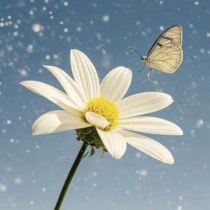 山茶花(Prod by Lv9)