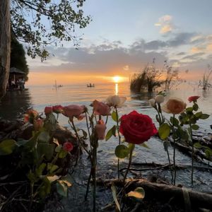 《霓虹下的孤影》