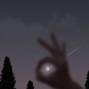 可乐(Cover 赵紫骅)