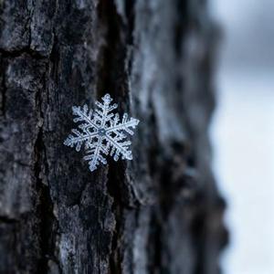 落雪之前