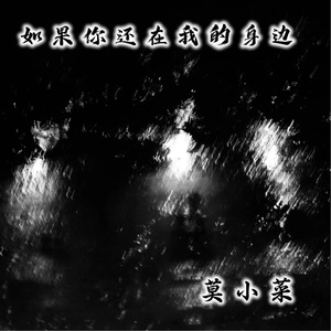 如果你还在我的身边