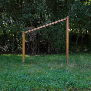 Till Hurricane Bisect