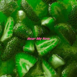 Alok-Hear Me Now（张鹤方 / GARBAGE / 恩赐 remix）