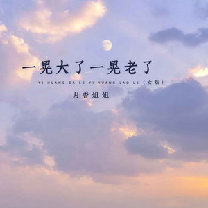 一晃大了一晃老了 (DJ默涵版)