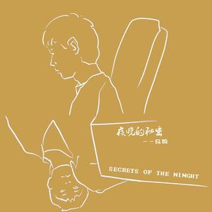 夜晚的秘密（木吉他版）