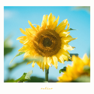 向日葵のような (feat. Lem)