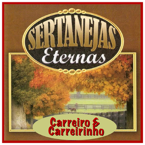 Bandeirante Fernão Dias