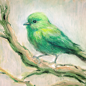 Green Bird