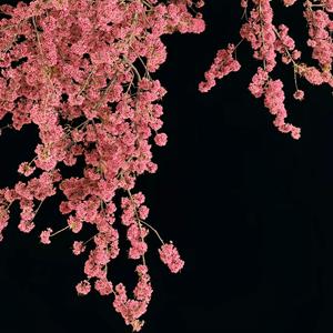 深夜看自己的影子