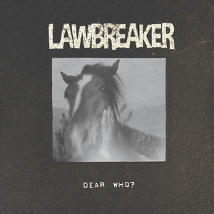 Bad Scene, Everyone's Fault