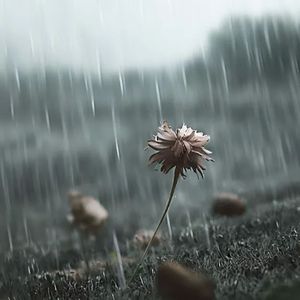 那就忘了吧（Prod.MORROW)