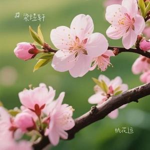 桃花运 (Cover 小阿枫)