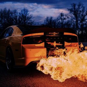 FIRE MAN（黑玫瑰）